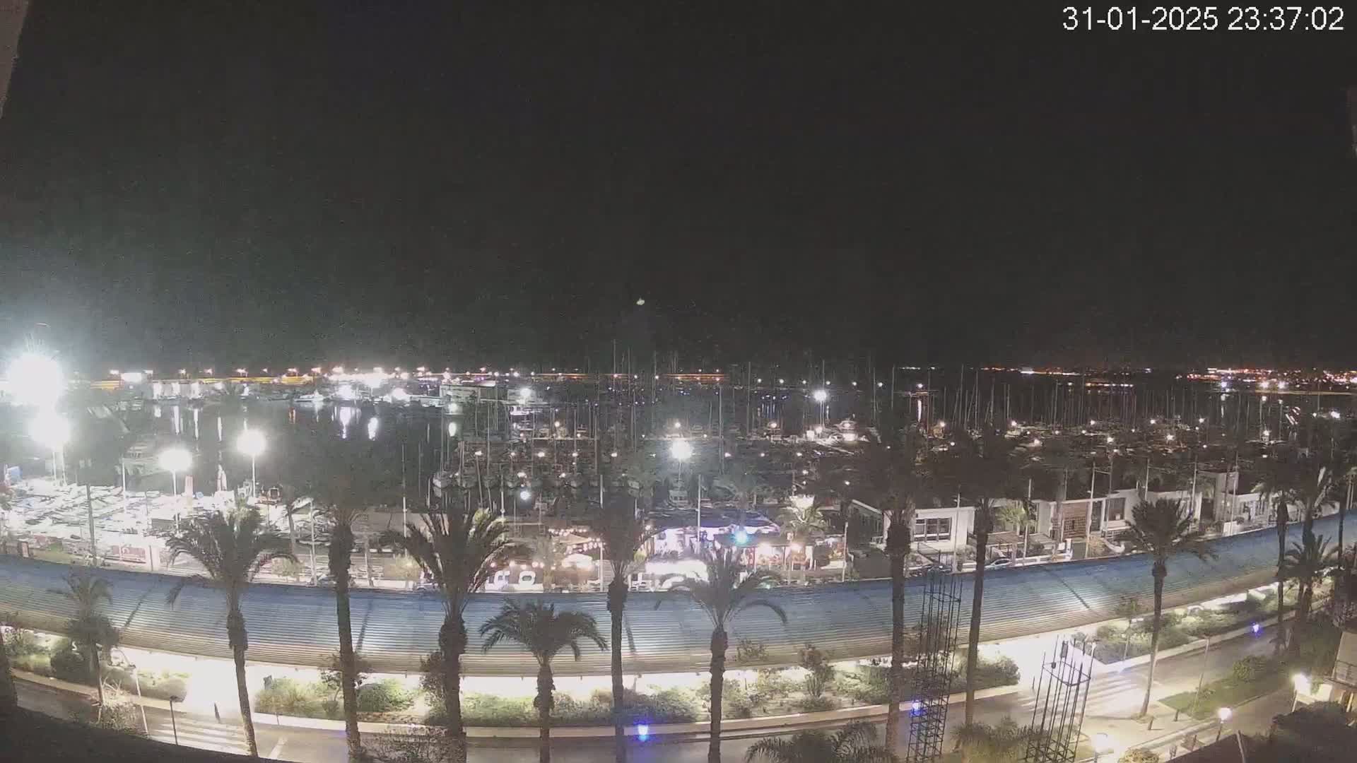 A nighttime view of a marina filled with many boats, surrounded by palm trees and a curved roadway, under a clear, dark sky.