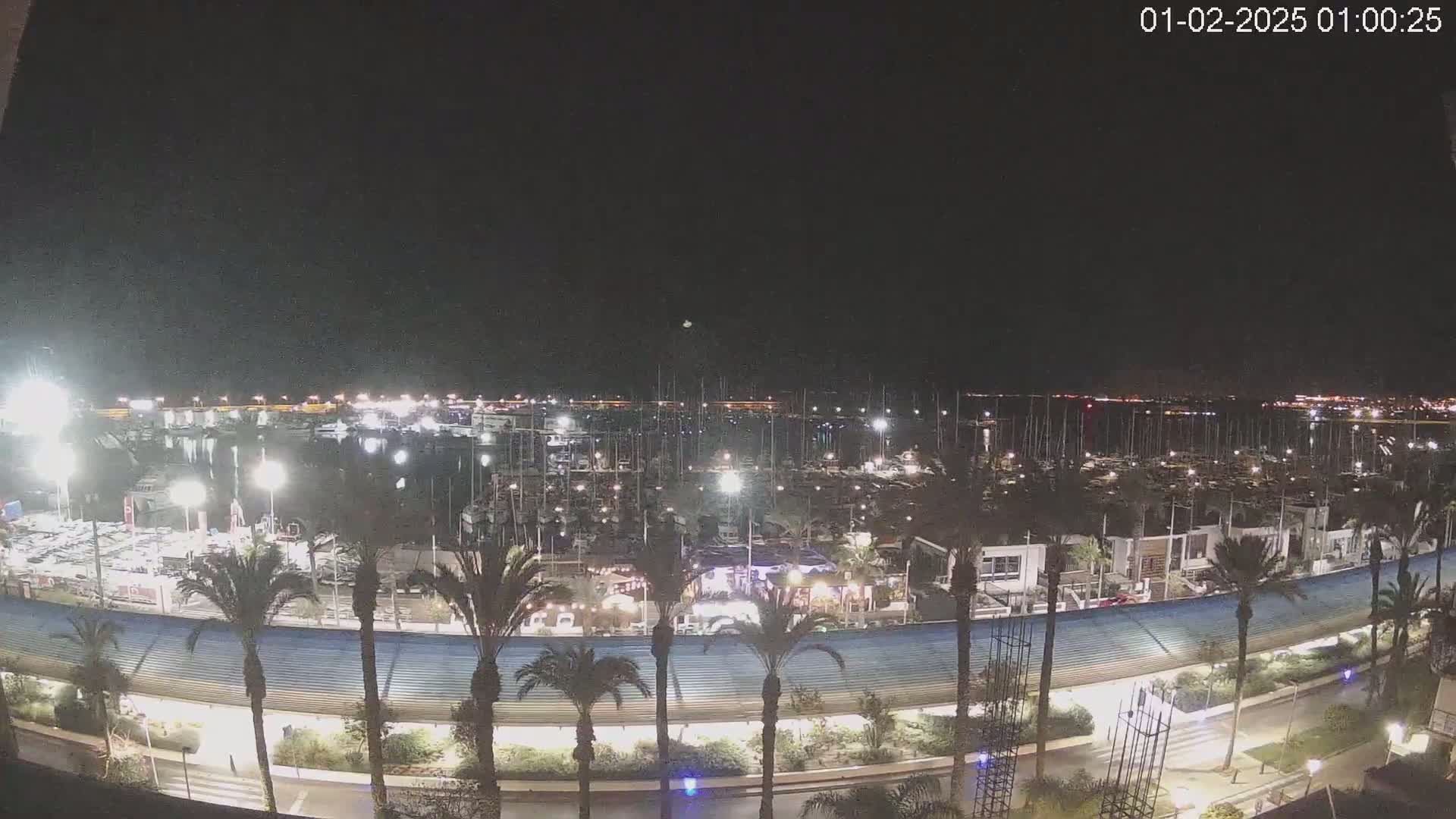 A nighttime view of a marina filled with boats, illuminated by lights, bordered by palm trees and a curved walkway under a clear sky.