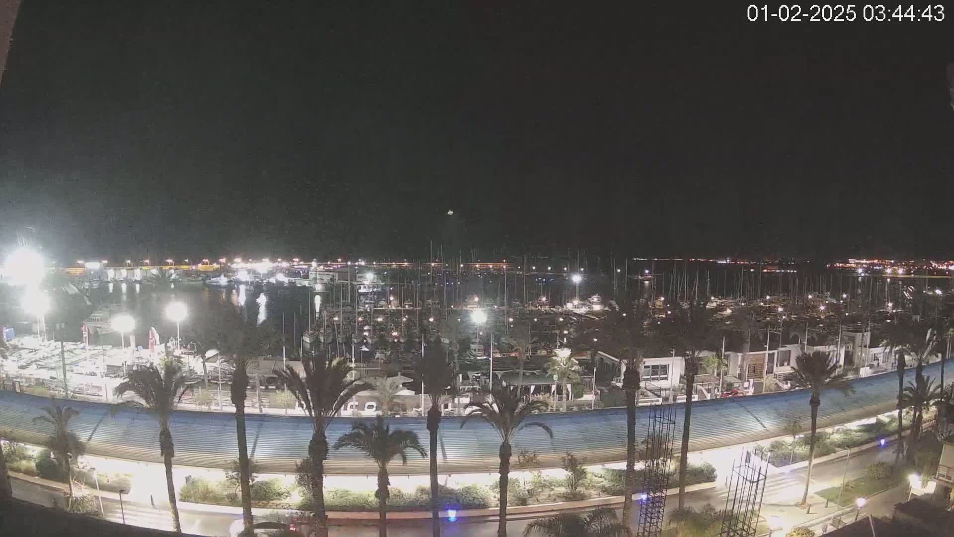 A nighttime view of a marina filled with boats, bordered by palm trees and a curved structure, under a clear sky.