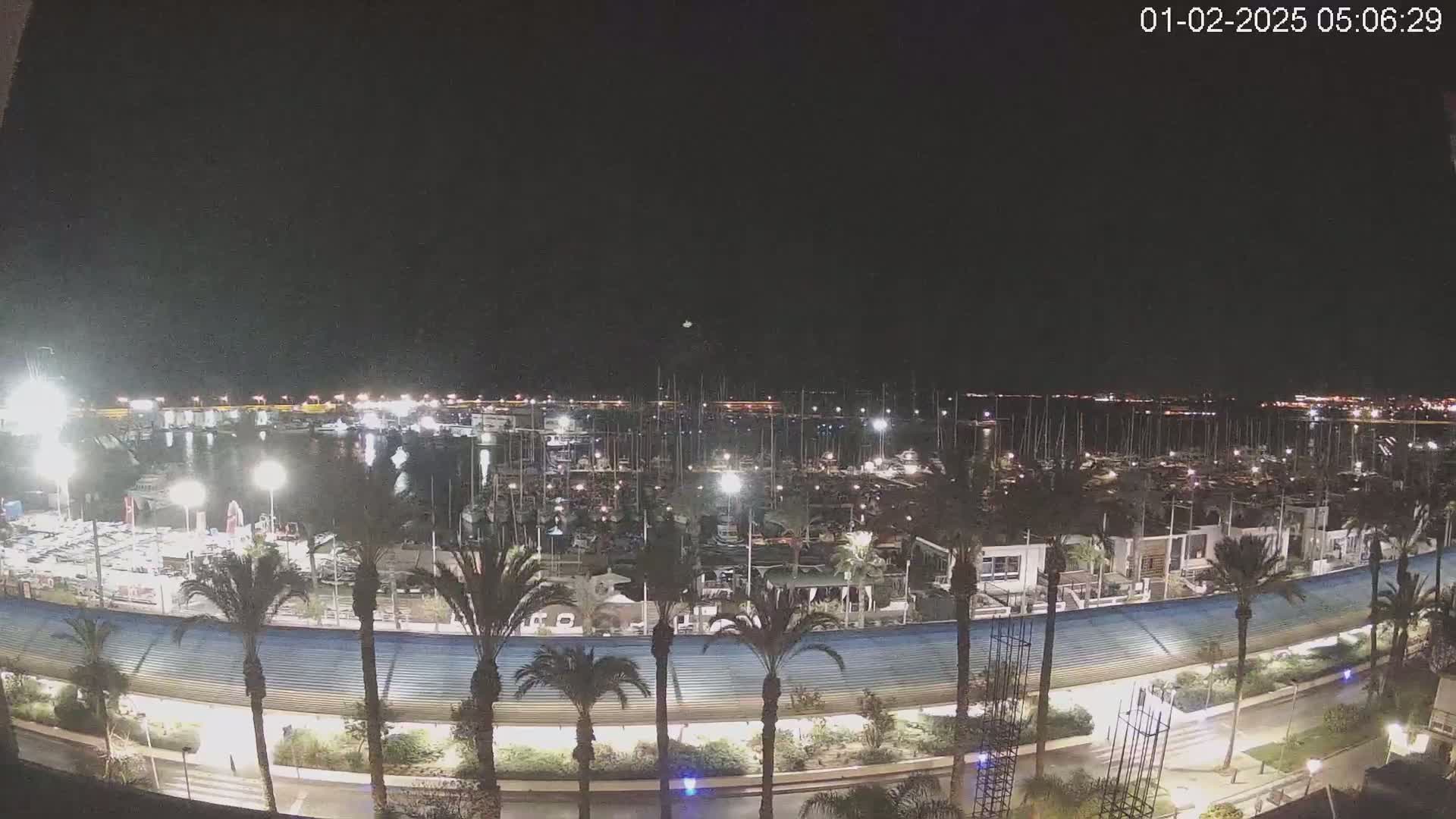 A nighttime view of a marina filled with boats, surrounded by palm trees and a curved walkway under a clear, dark sky.