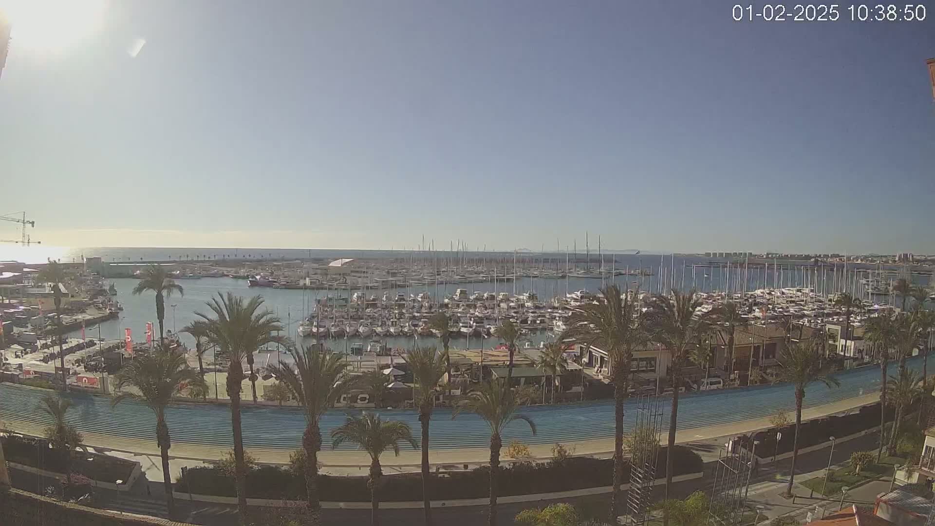 A sunny day shows a marina filled with numerous sailboats and motorboats, bordered by palm trees and a blue track, with a clear view of the ocean and distant shoreline in the background.
