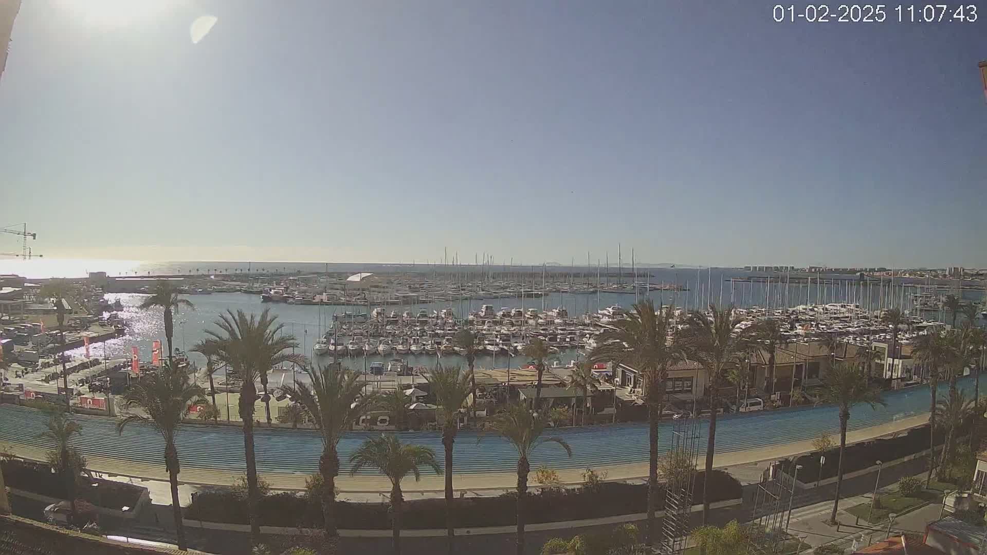 A sunny day reveals a harbor filled with numerous boats and yachts, bordered by palm trees and a waterfront promenade.