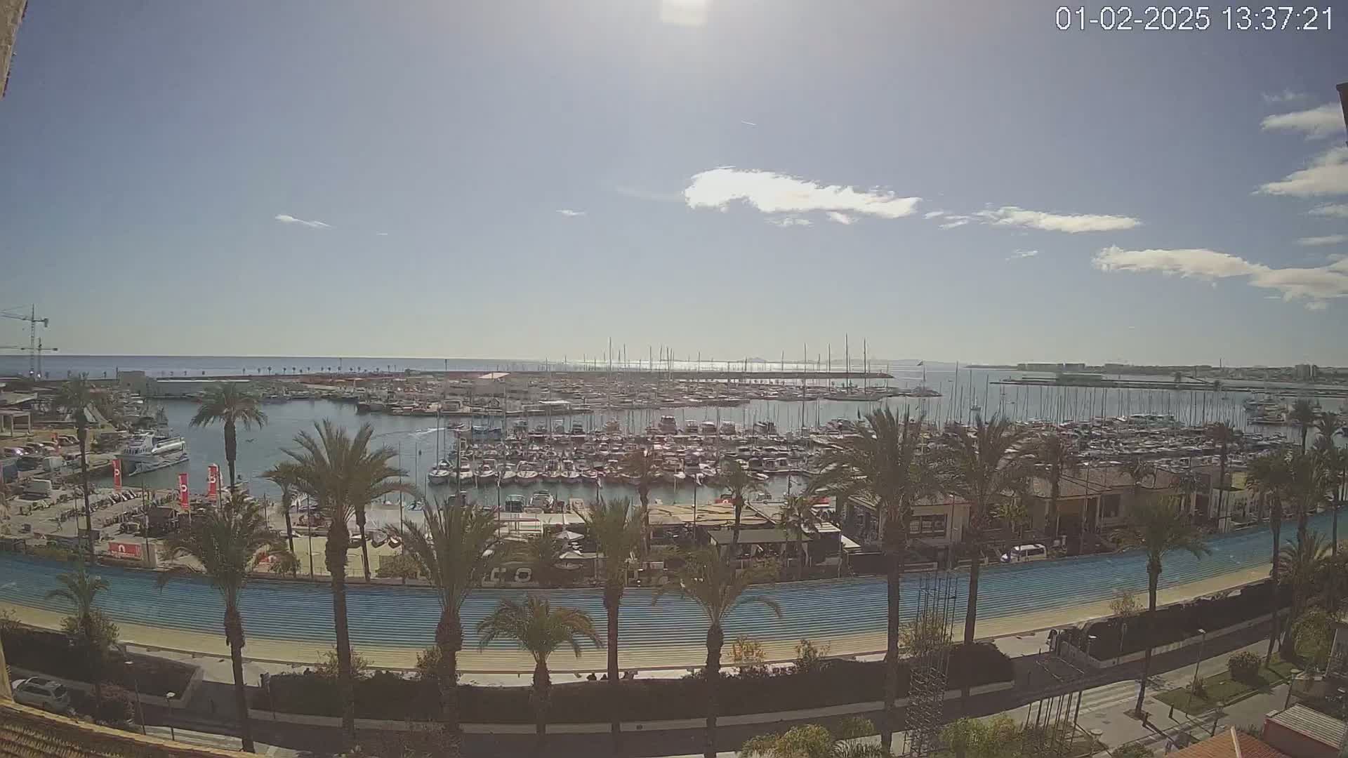 A sunny day overlooking a marina filled with numerous boats, palm trees lining a waterfront promenade, and a calm sea stretching to the horizon.