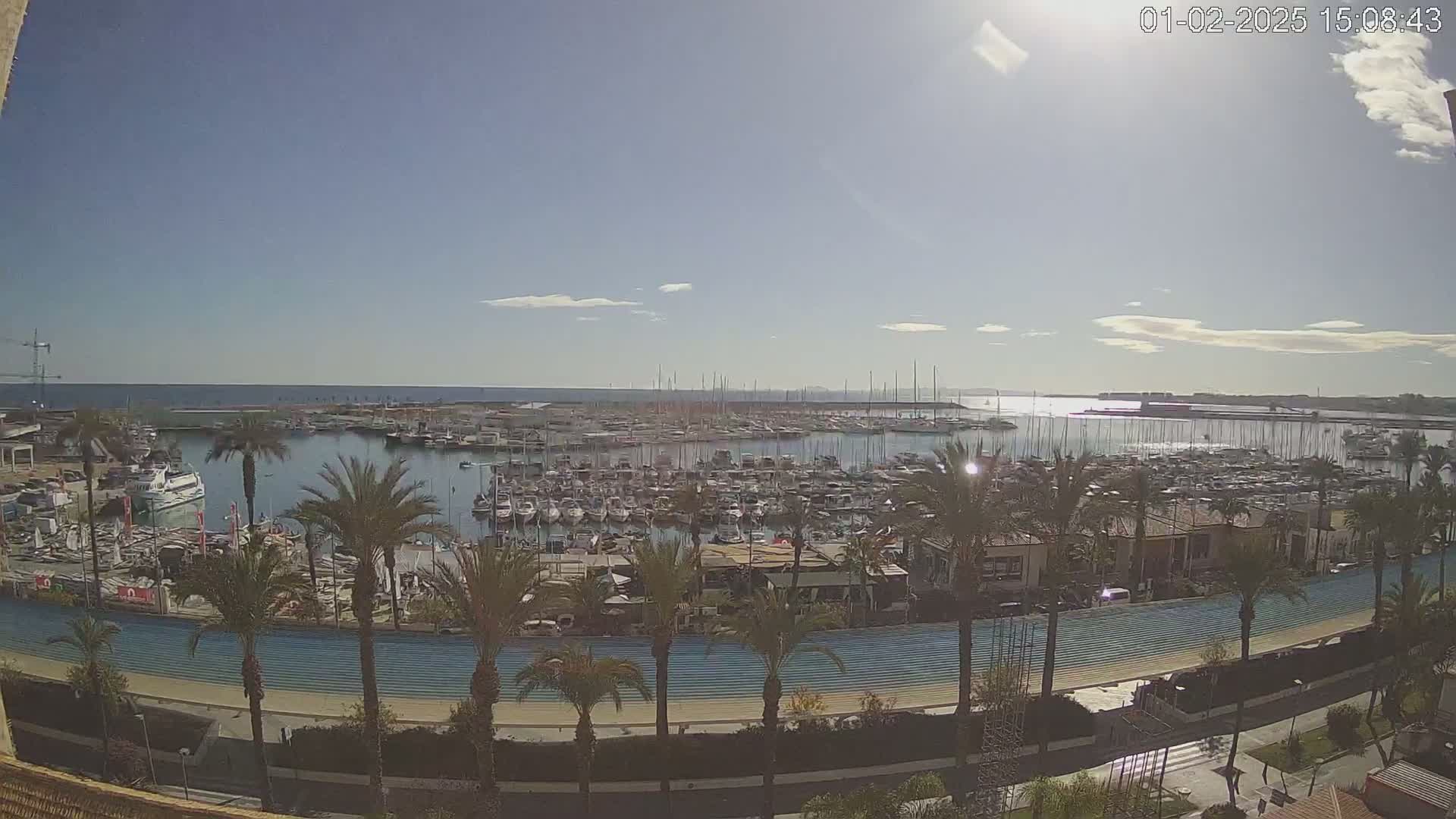 A sunny day shows a marina filled with many boats, bordered by palm trees and a blue track, all overlooking a calm sea.