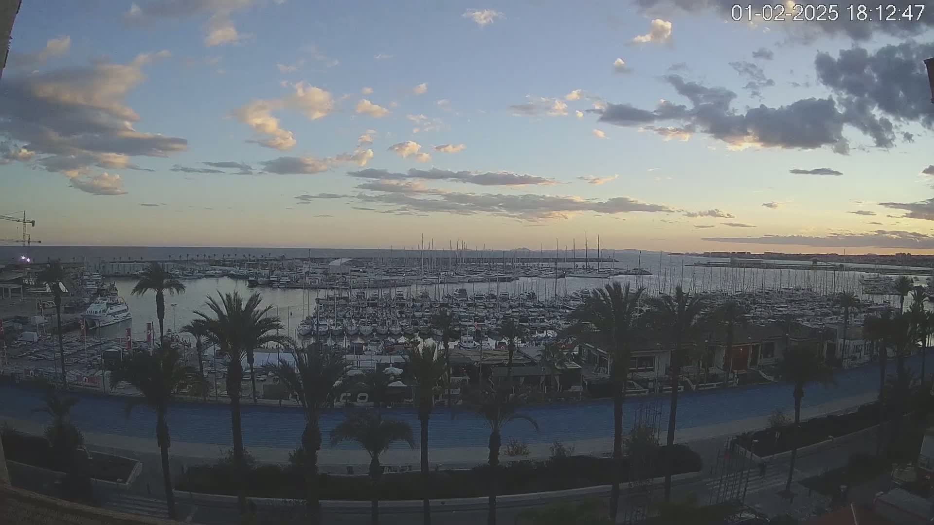 A mostly cloudy sunset over a marina filled with many boats, viewed from above a palm tree-lined promenade.