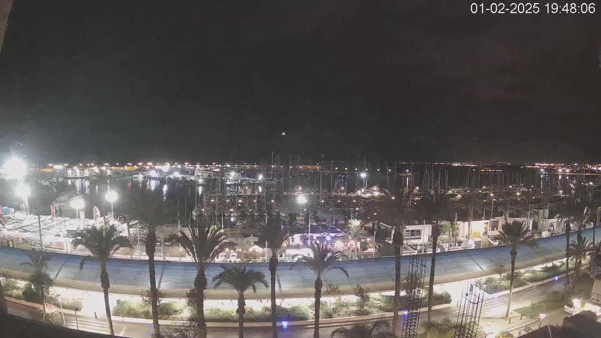 A nighttime view of a marina filled with boats, surrounded by palm trees and a waterfront promenade under a clear, dark sky.