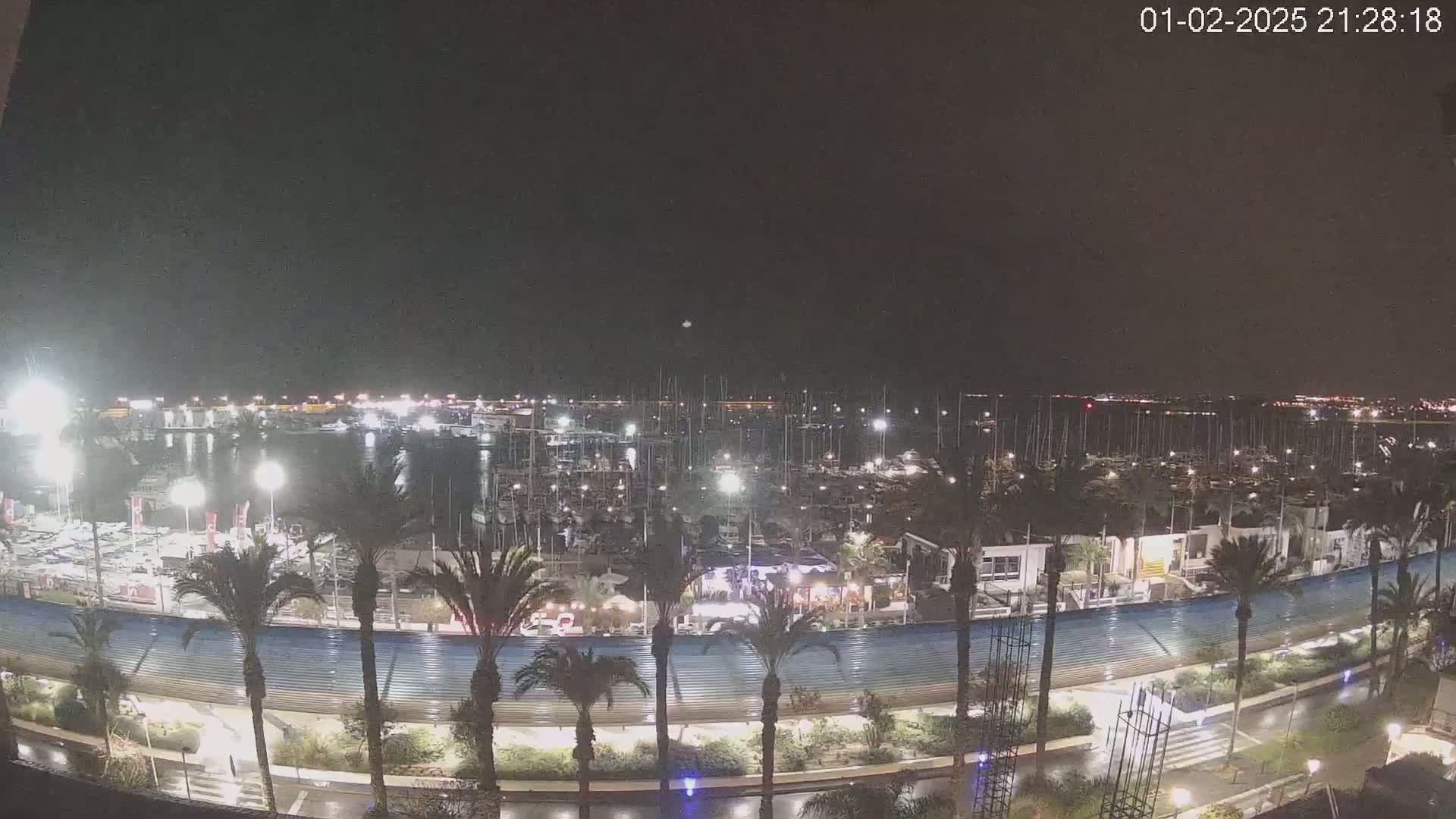 A nighttime view of a harbor filled with boats, surrounded by palm trees and a paved waterfront area, under a dark, clear sky.