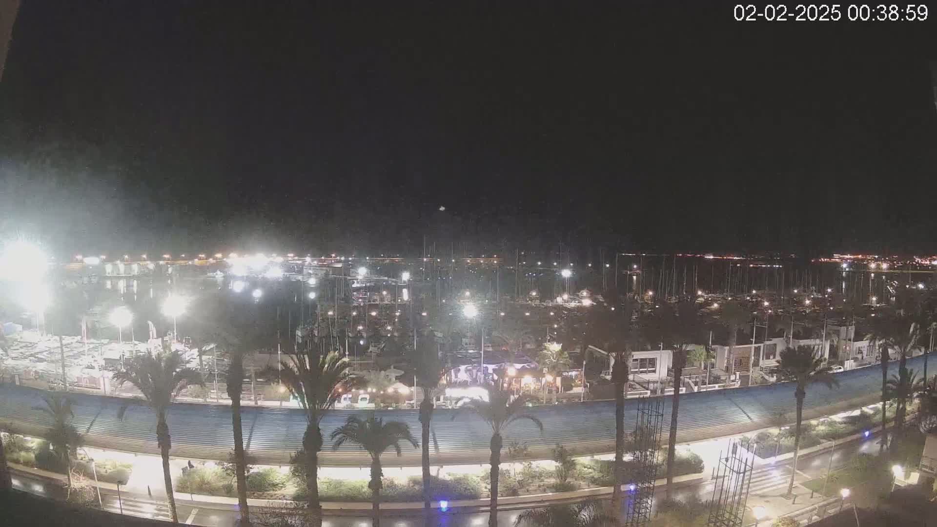 A nighttime, brightly lit marina filled with boats is seen from an elevated vantage point, with palm trees lining a roadway next to it.