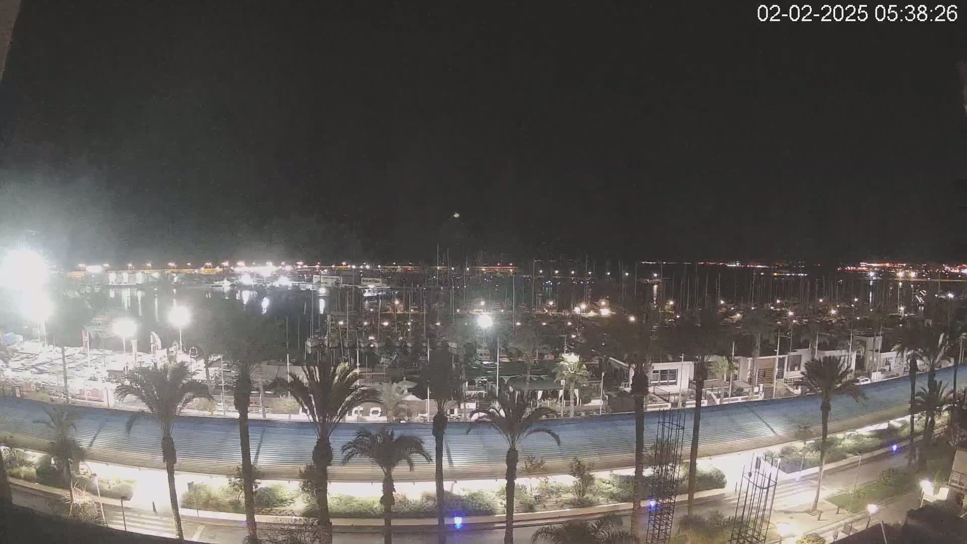 A nighttime view of a marina filled with boats, lined with palm trees and bordered by a curved walkway under a clear, dark sky.