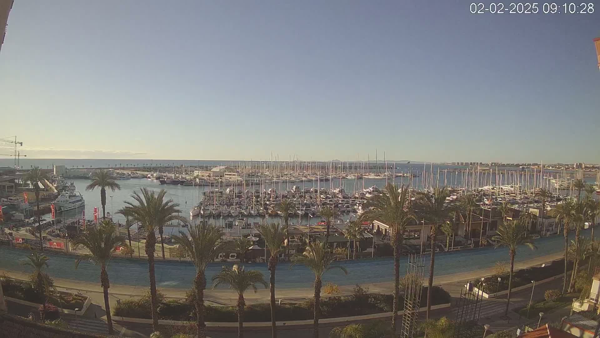 A marina filled with numerous sailboats and yachts is visible under a clear, sunny sky, with palm trees lining a roadway in the foreground.