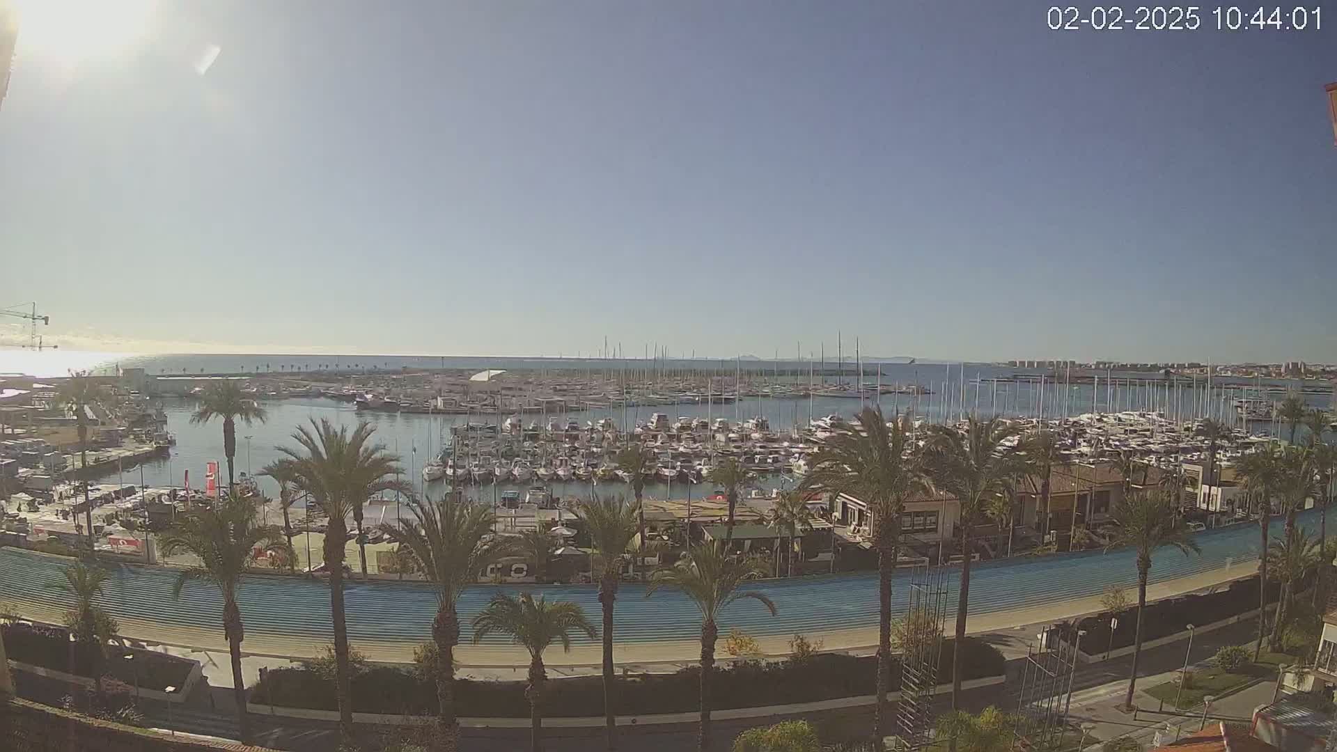 A sunny day reveals a marina filled with numerous boats, bordered by palm trees and a light blue track, all overlooking a calm sea.