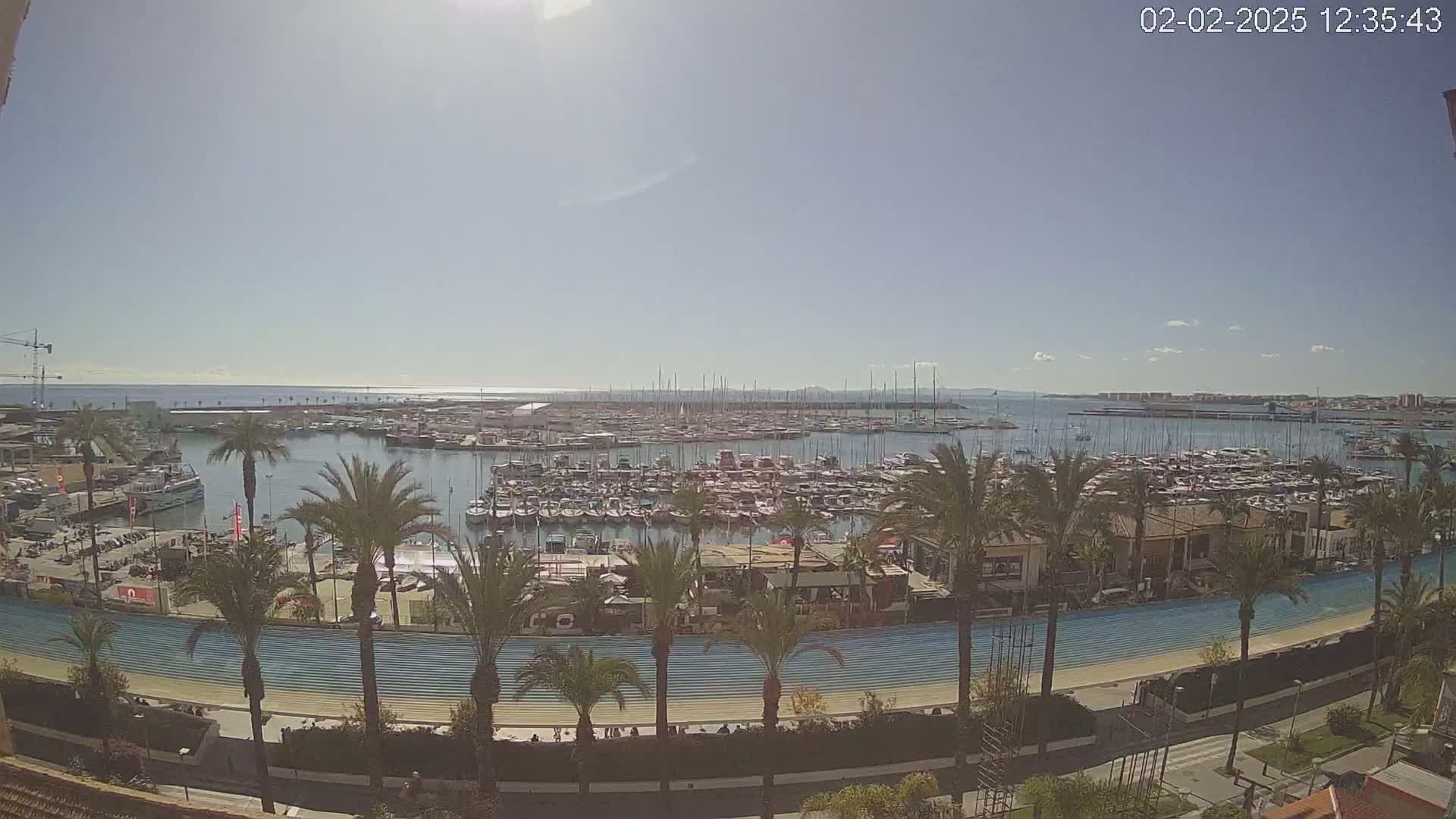 A sunny day reveals a harbor filled with numerous boats and yachts, bordered by palm trees and a long, light blue walkway.