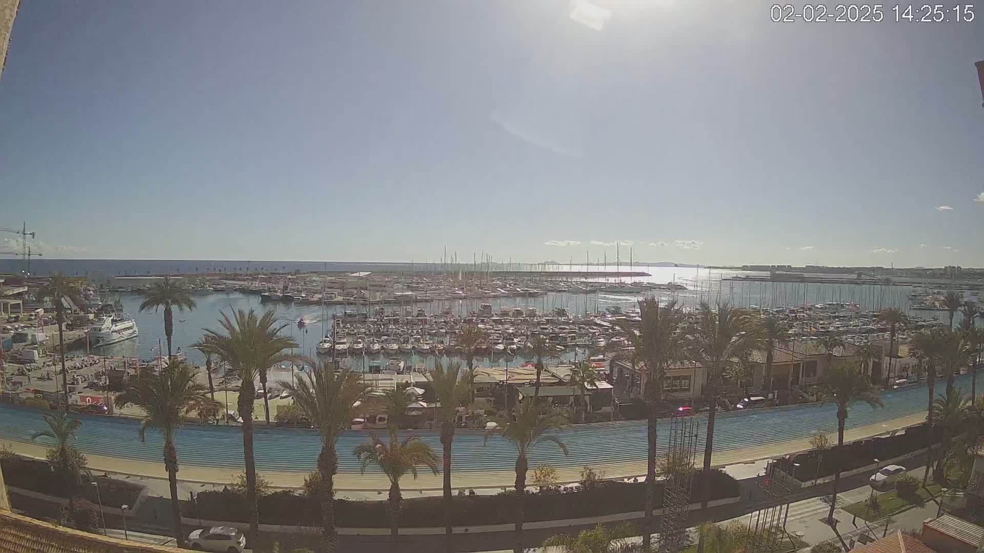 A sunny day overlooking a harbor filled with numerous boats and yachts, lined with palm trees and a waterfront promenade.