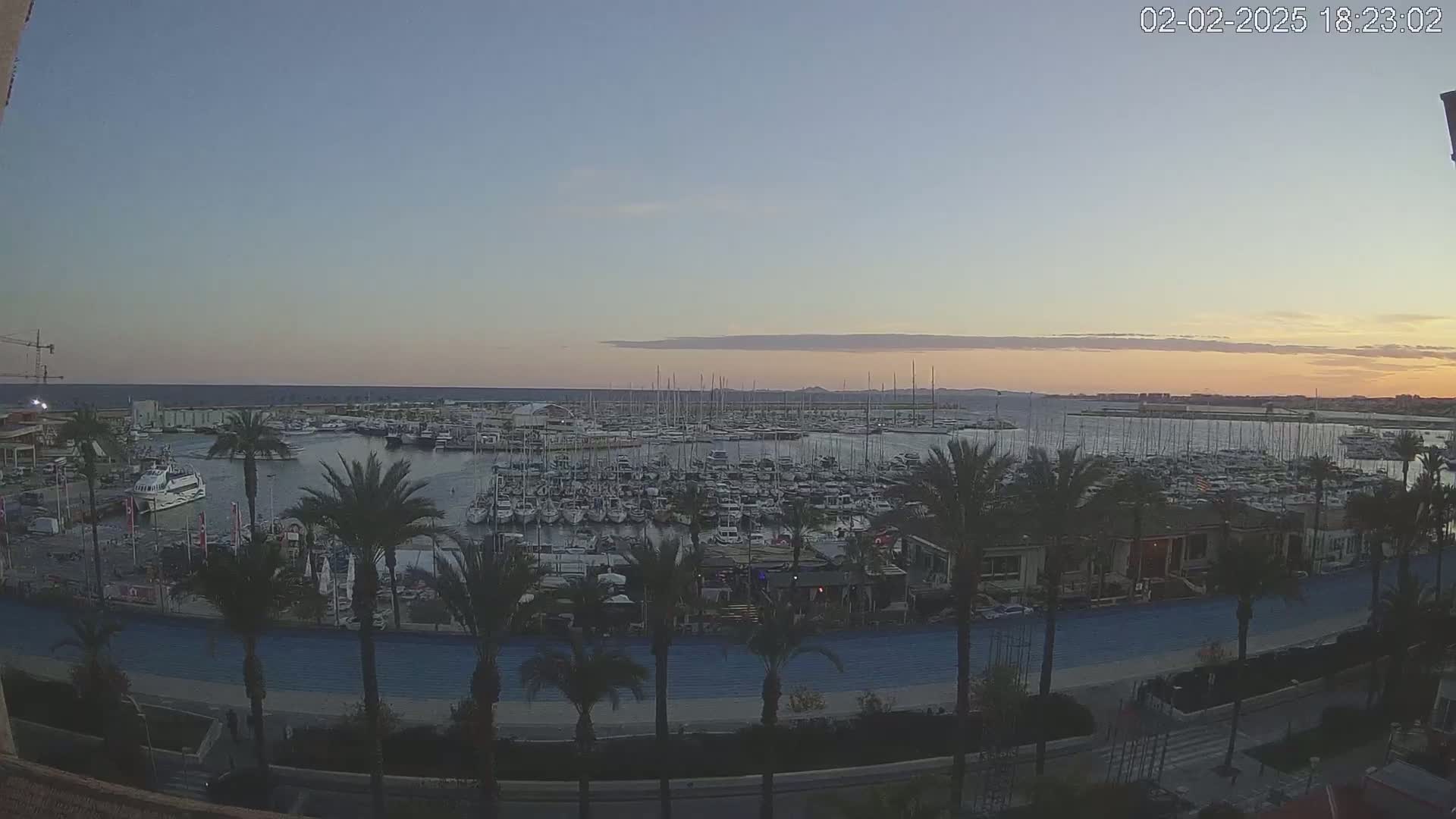 A marina filled with numerous boats is visible at sunset, with palm trees lining a paved waterfront area.