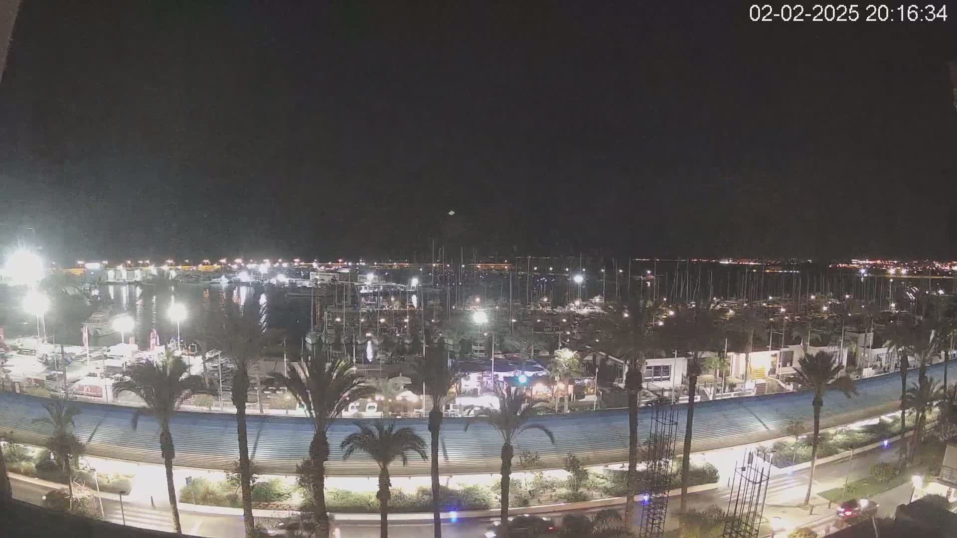 A nighttime view of a marina filled with boats, surrounded by palm trees and a paved walkway under a clear, dark sky.