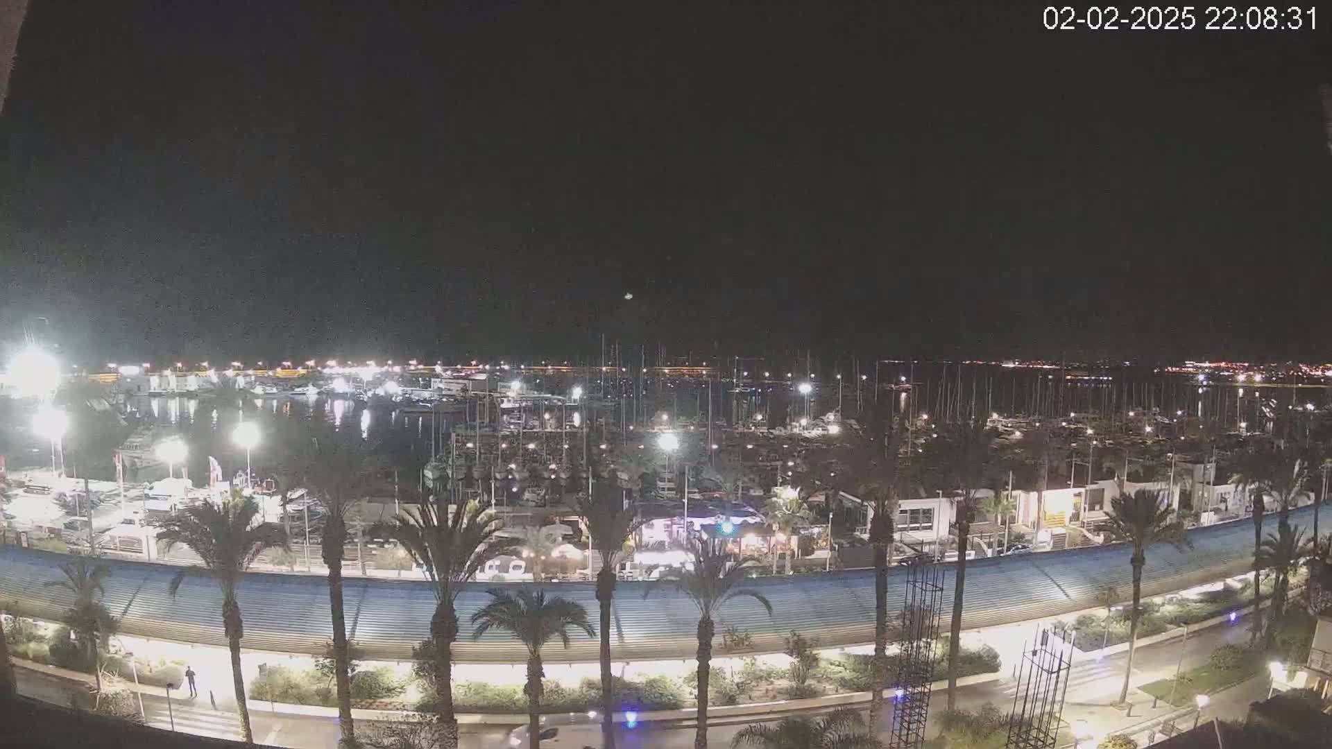 A nighttime view of a marina filled with boats, lined with palm trees and a curved walkway.