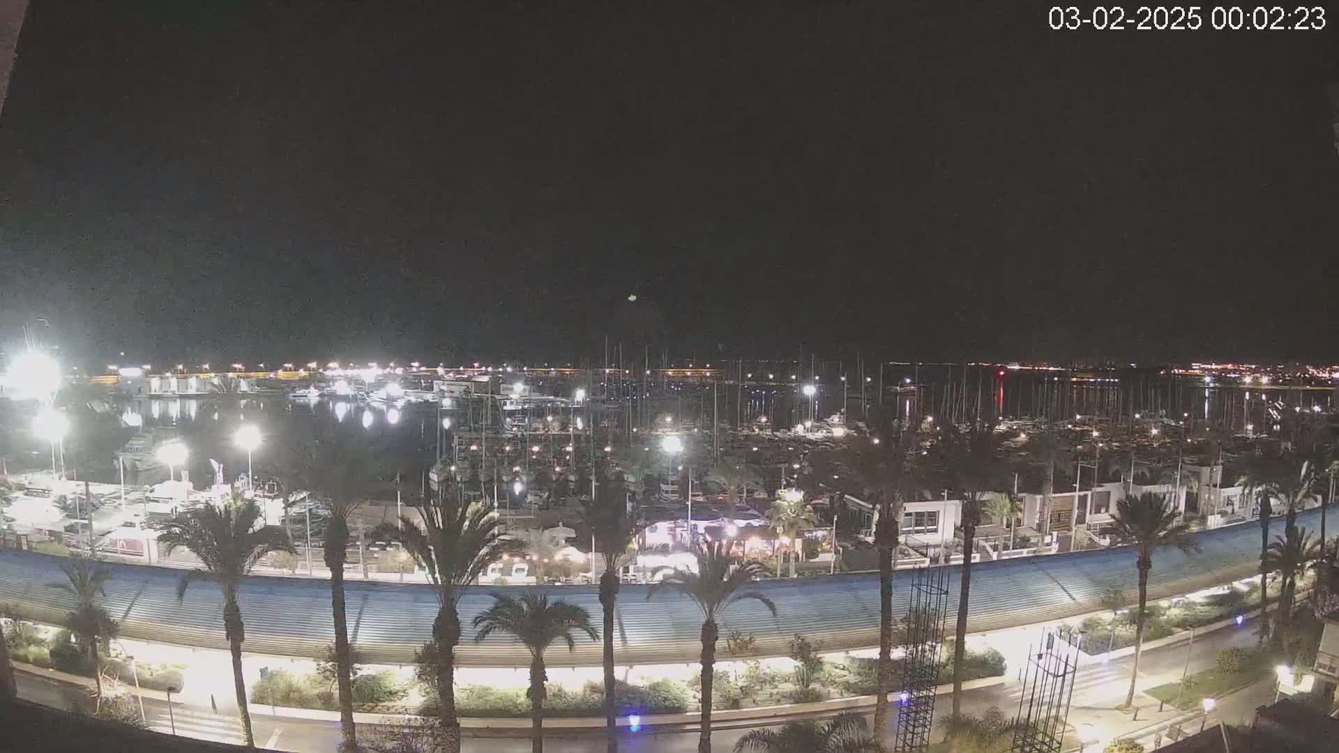 A nighttime view of a marina filled with boats, illuminated by lights, with palm trees lining a waterfront promenade under a clear, dark sky.