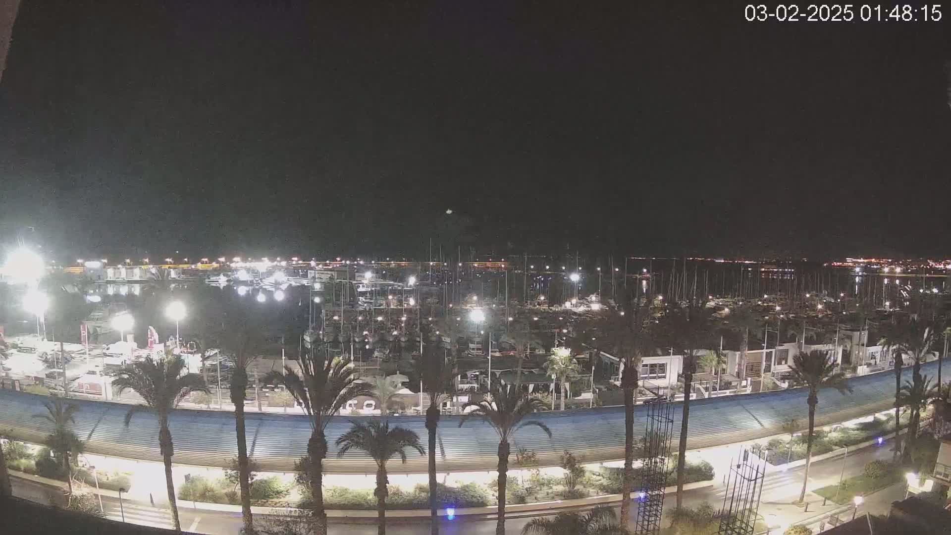 A nighttime view of a marina filled with docked boats, illuminated by lights, with palm trees lining a curved walkway along the waterfront under a clear, dark sky.
