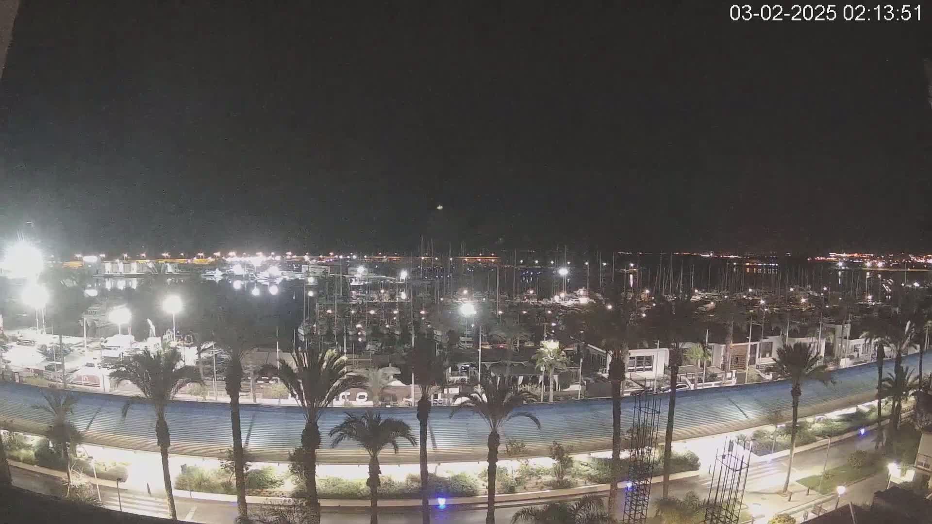 A nighttime view of a marina filled with boats, lined with palm trees and a curved roadway under a clear, dark sky.