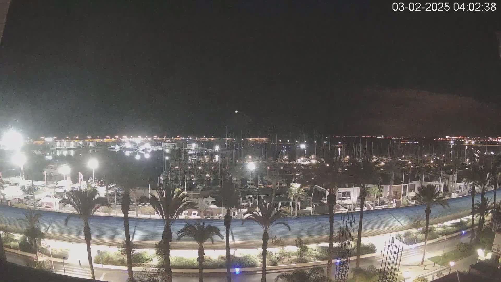 A nighttime view of a marina filled with boats, lined with palm trees and a curved roadway under a clear, dark sky.