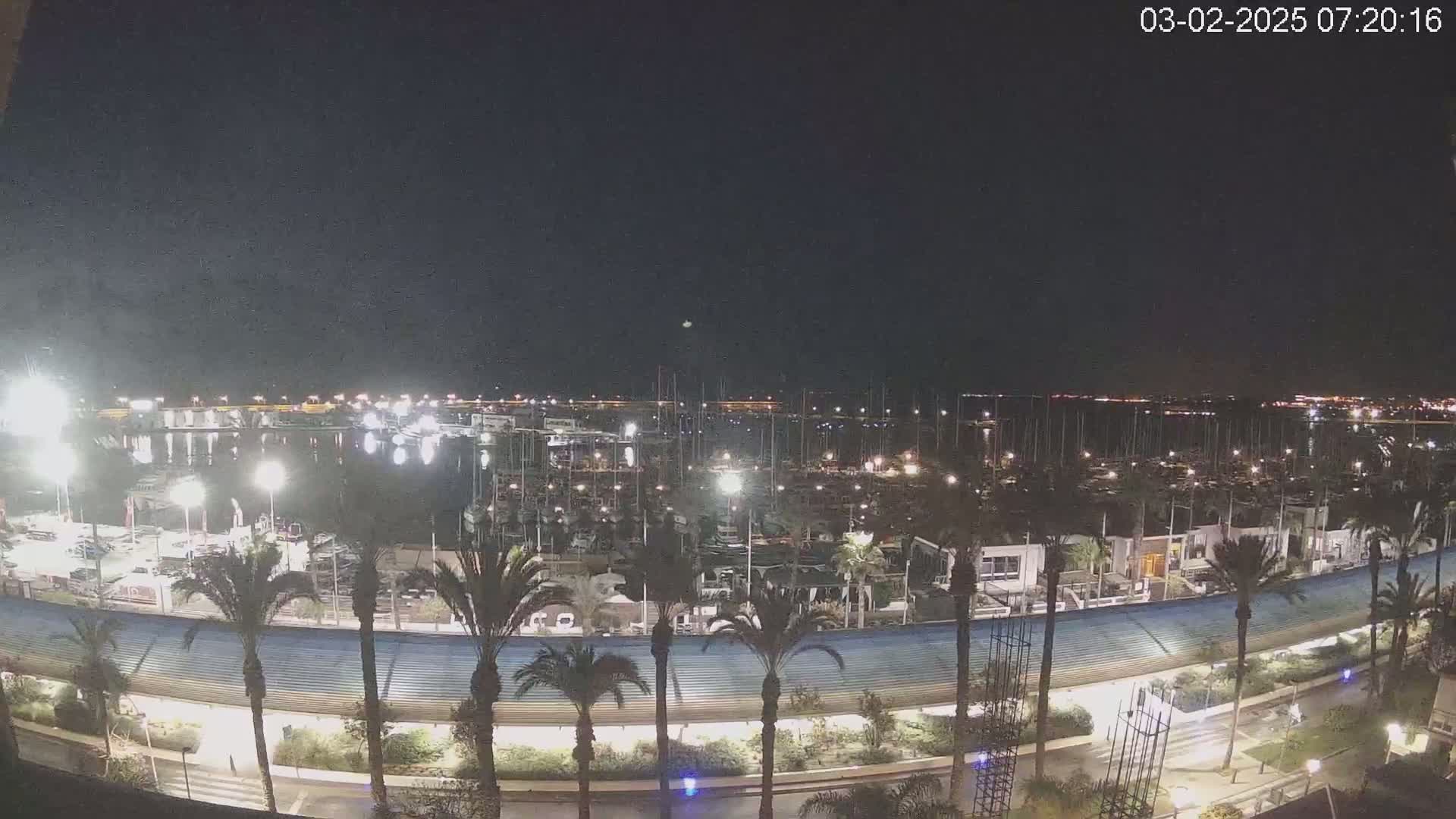 A nighttime view of a marina filled with boats, lined with palm trees and a curved walkway under a clear, dark sky.