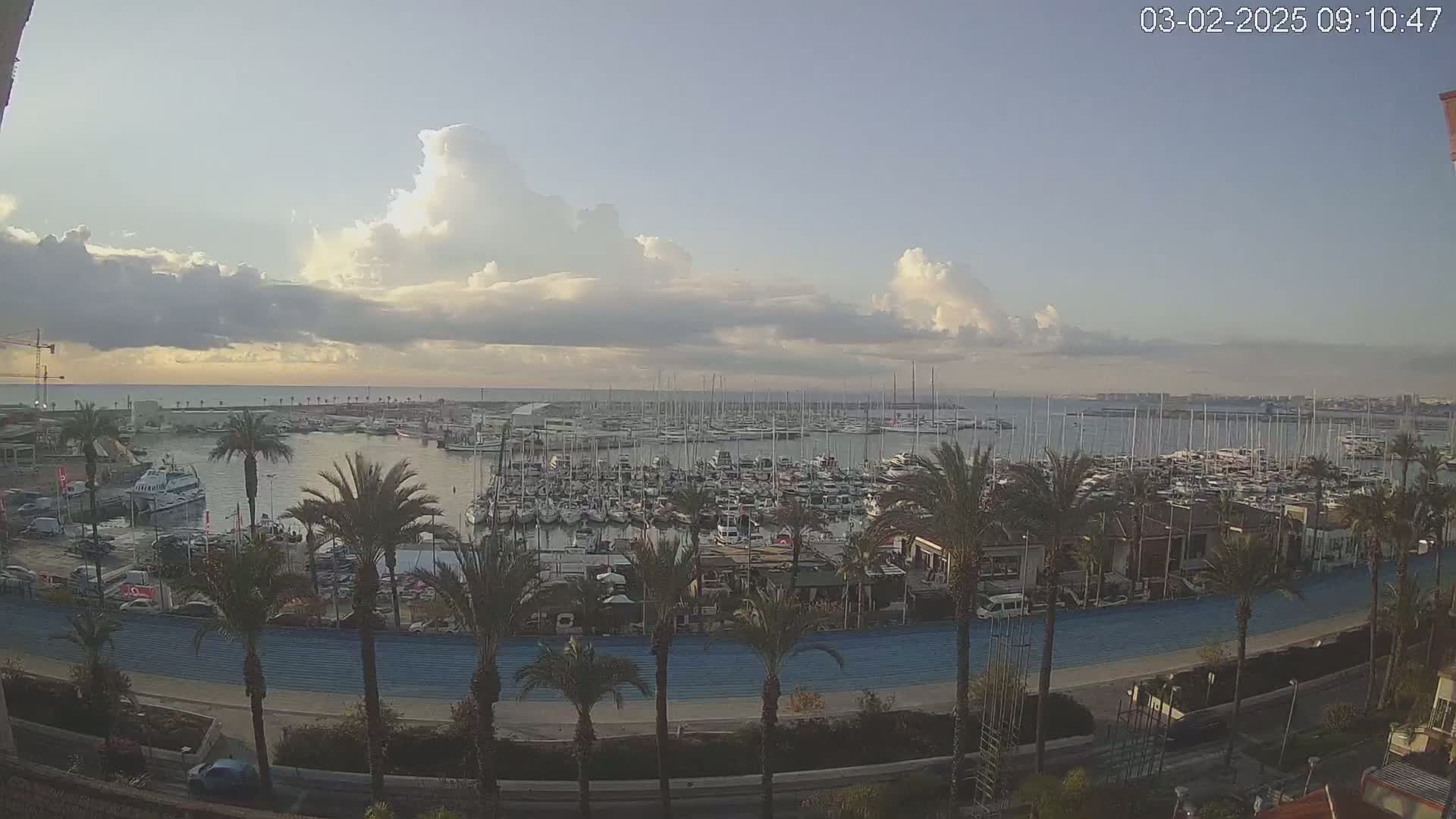 A mostly cloudy, but bright, day overlooks a marina filled with sailboats and motorboats, palm trees lining a waterfront path.