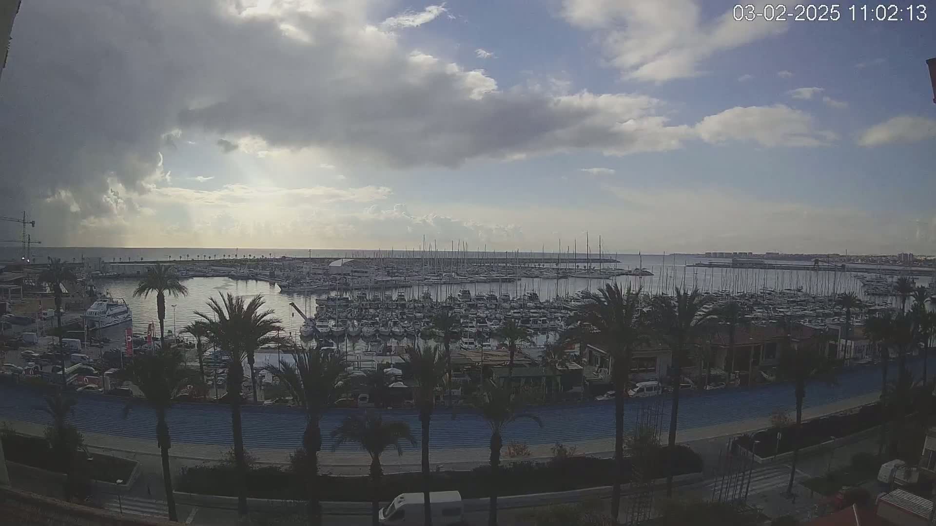 A partly cloudy day reveals a marina filled with numerous boats, surrounded by palm trees and a paved walkway, with a calm body of water extending to a distant shoreline.