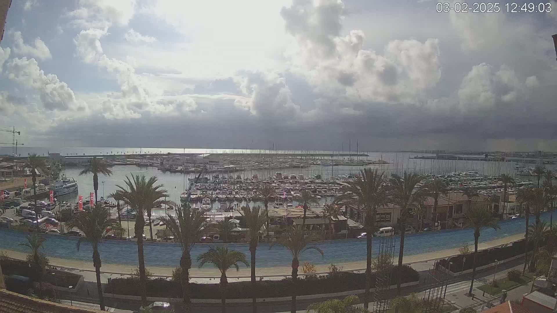A partly cloudy day overlooks a marina filled with numerous boats and surrounded by palm trees and a waterfront promenade.