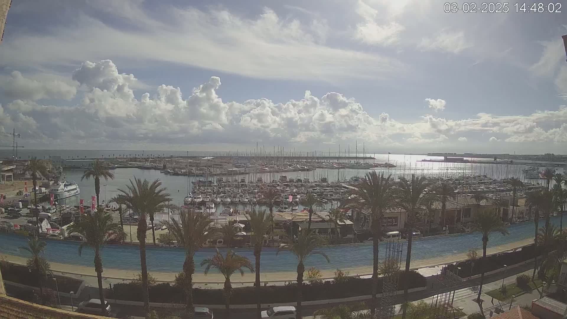 A partly cloudy day overlooks a marina filled with numerous boats and sailboats, surrounded by palm trees and a waterfront promenade.