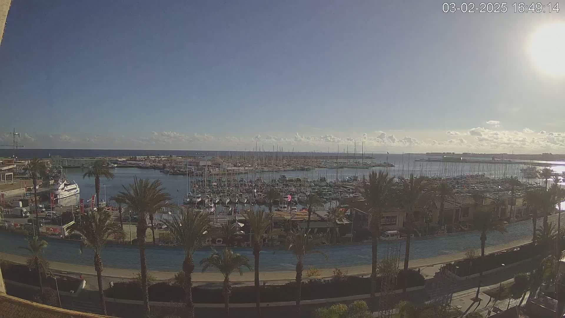 A mostly sunny day overlooking a harbor filled with numerous boats and yachts, surrounded by palm trees and a paved walkway.