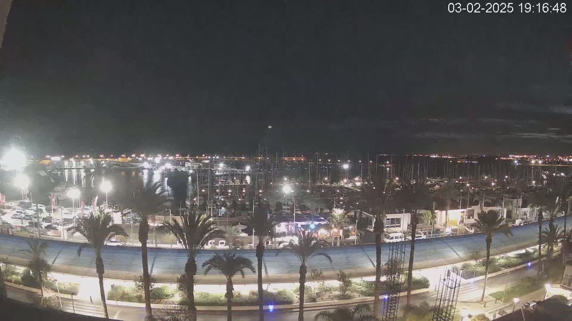A nighttime view of a marina filled with boats, surrounded by palm trees and a curved roadway, under a clear night sky.