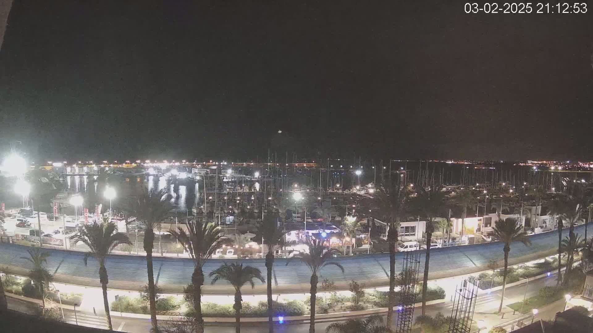 A nighttime view of a marina filled with boats, surrounded by palm trees and a curved walkway under a clear, dark sky.