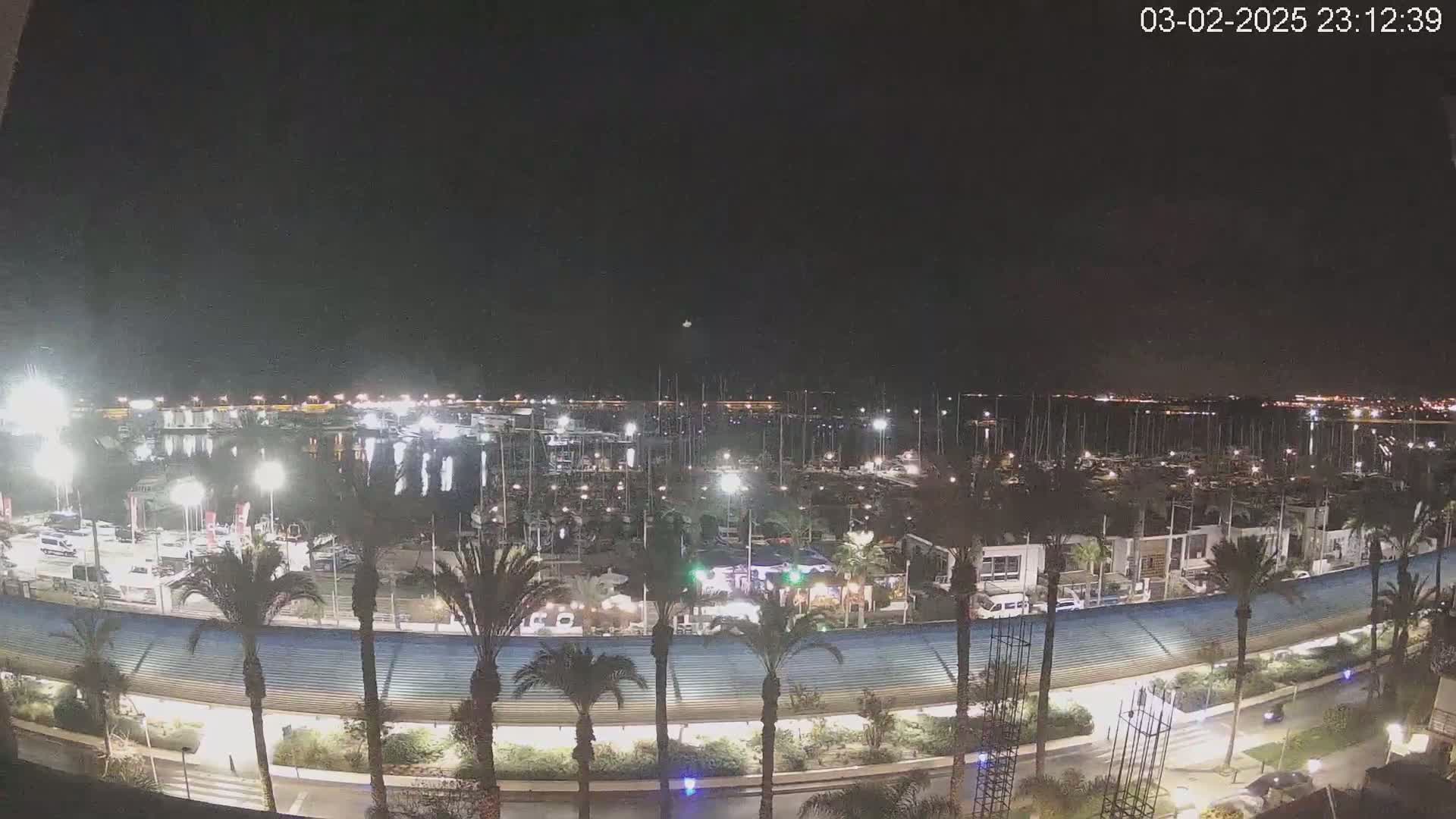 A nighttime view of a marina filled with boats, lined with palm trees and a curved walkway, under a clear sky.