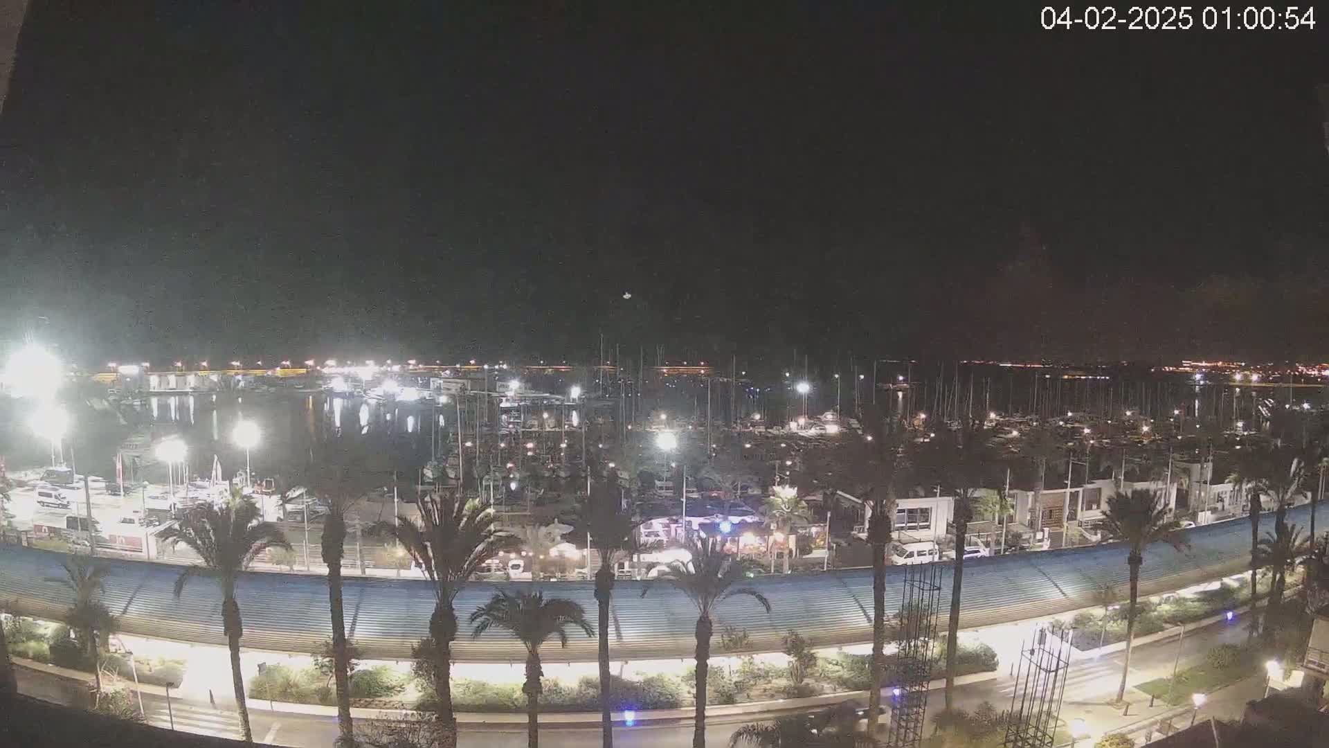 A nighttime, aerial view of a marina filled with boats, surrounded by palm trees and a roadway, under clear skies.