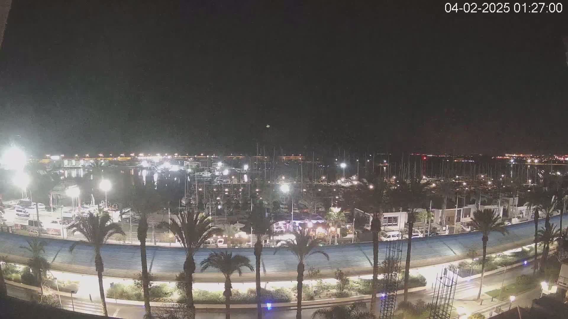 A nighttime view of a marina filled with boats, illuminated by lights, with palm trees lining a waterfront walkway under a clear, dark sky.