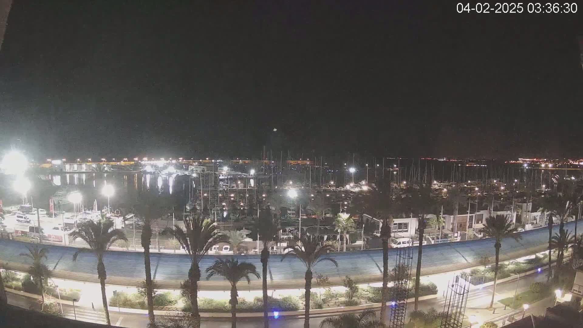 A nighttime view of a marina filled with boats, illuminated by artificial lights, lined with palm trees, and bordered by a curved walkway.