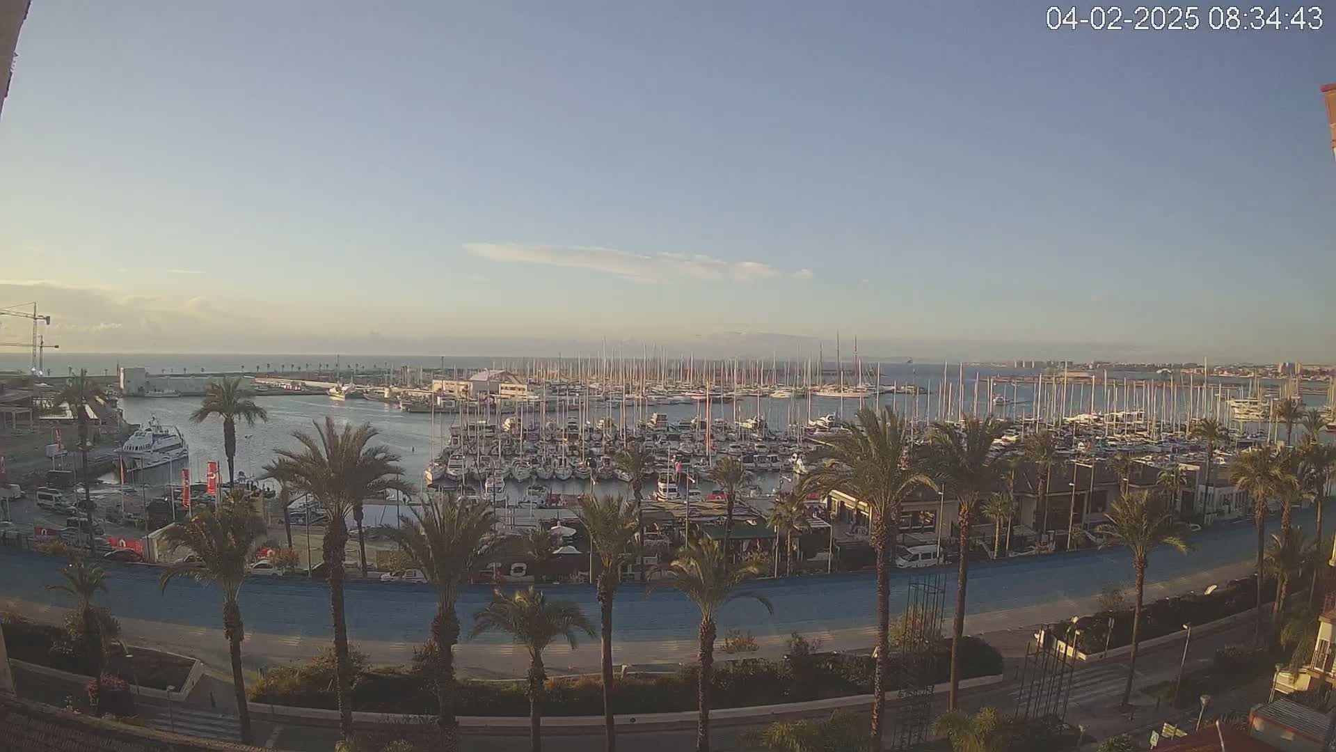 A marina filled with numerous boats is seen from an elevated vantage point on a clear, sunny day, with palm trees lining a paved pathway in the foreground.