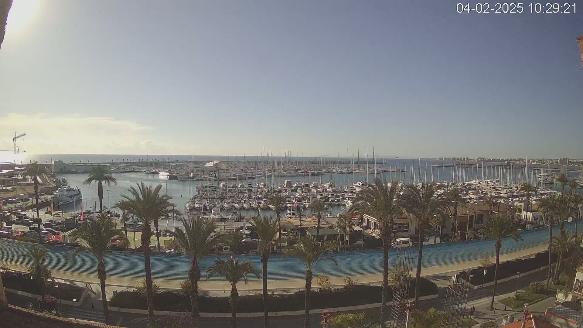 A sunny day overlooking a marina filled with many boats and surrounded by palm trees and a road.