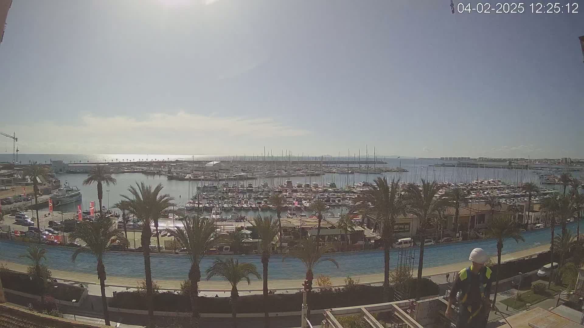 A sunny day overlooks a marina filled with numerous boats and yachts, lined with palm trees and a walkway.