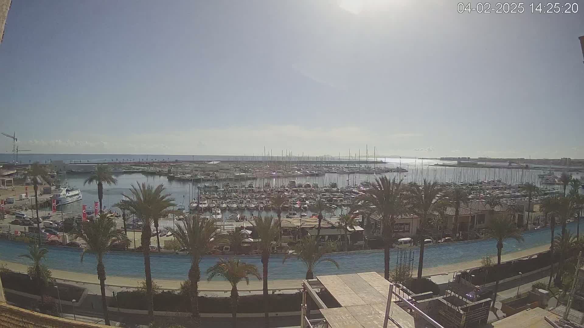 A sunny day overlooking a crowded marina filled with sailboats and motorboats, palm trees lining a promenade next to the water.