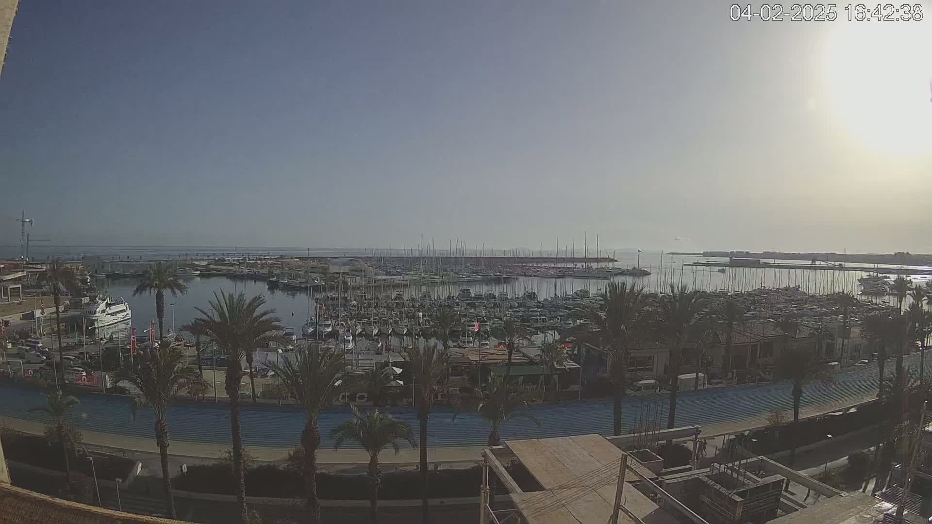 A sunny day overlooking a marina filled with numerous boats and yachts, surrounded by palm trees and a waterfront promenade.