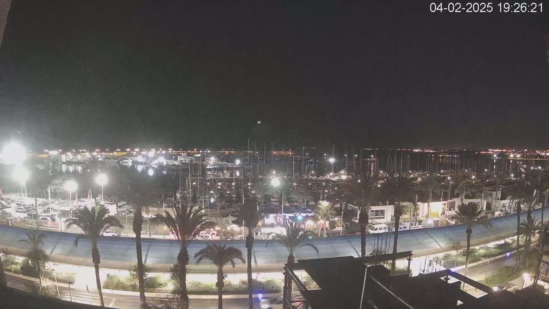 A nighttime view of a marina filled with boats, lined with palm trees and illuminated by lights, under a clear sky.