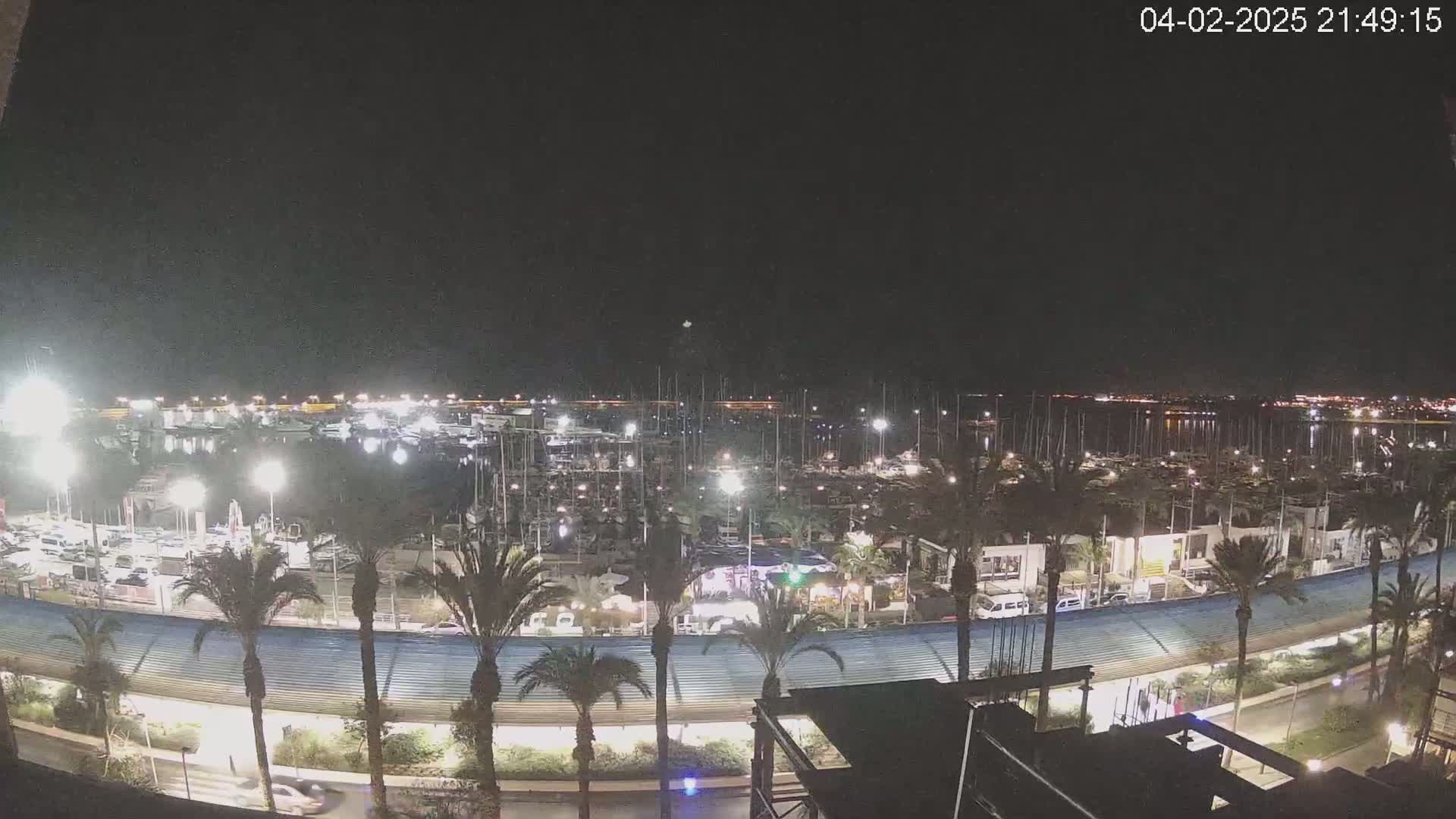 A nighttime view of a marina filled with boats, lined with palm trees and illuminated by lights, under a clear dark sky.