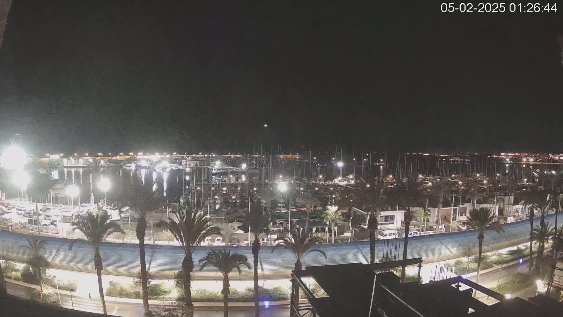 A nighttime view of a marina filled with boats, surrounded by palm trees and a waterfront structure, under a clear, dark sky.