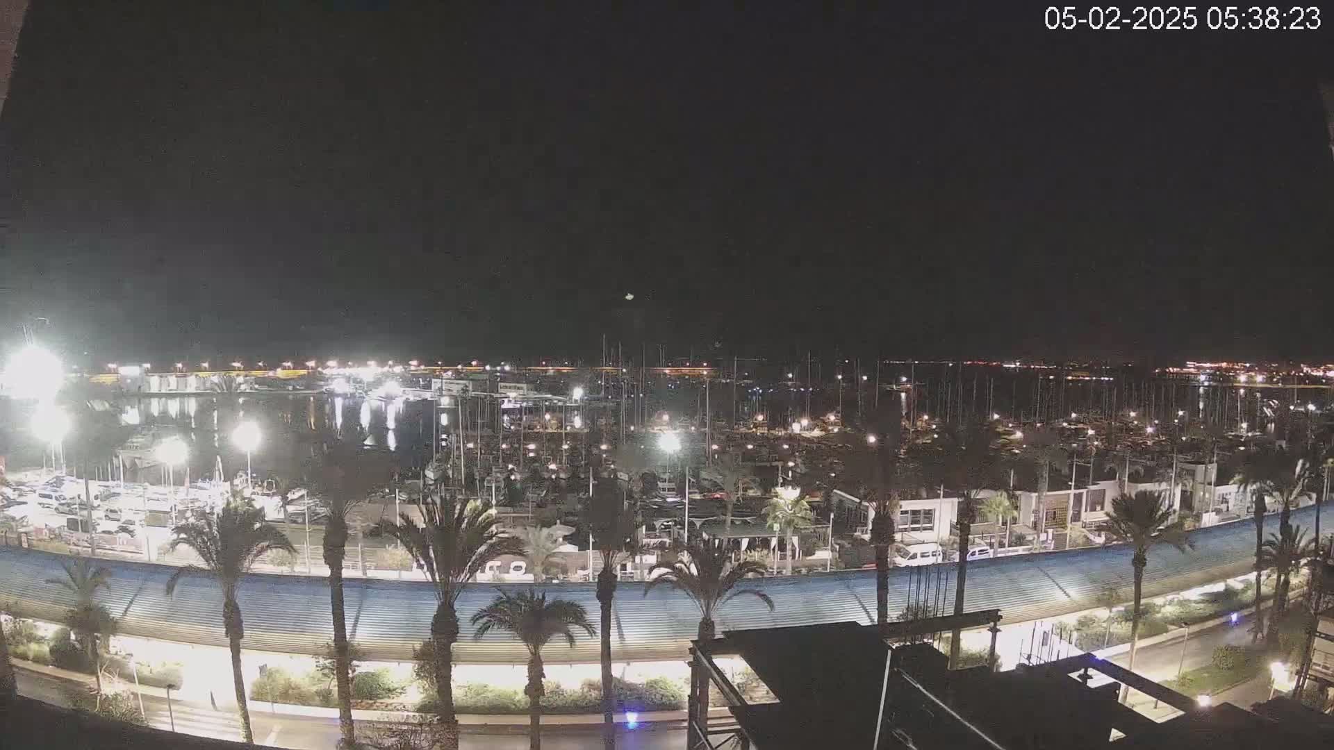A nighttime, brightly lit marina filled with boats is shown, surrounded by palm trees and a roadway.