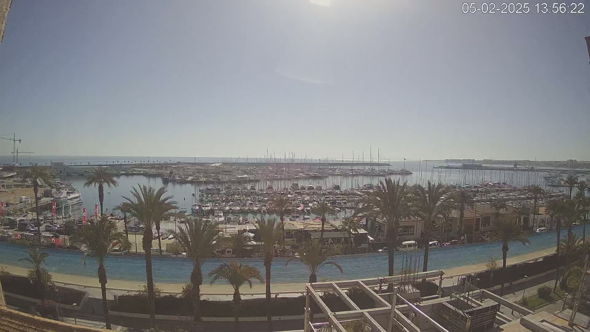 A sunny day overlooking a marina filled with numerous boats and yachts, surrounded by palm trees and a waterfront promenade.