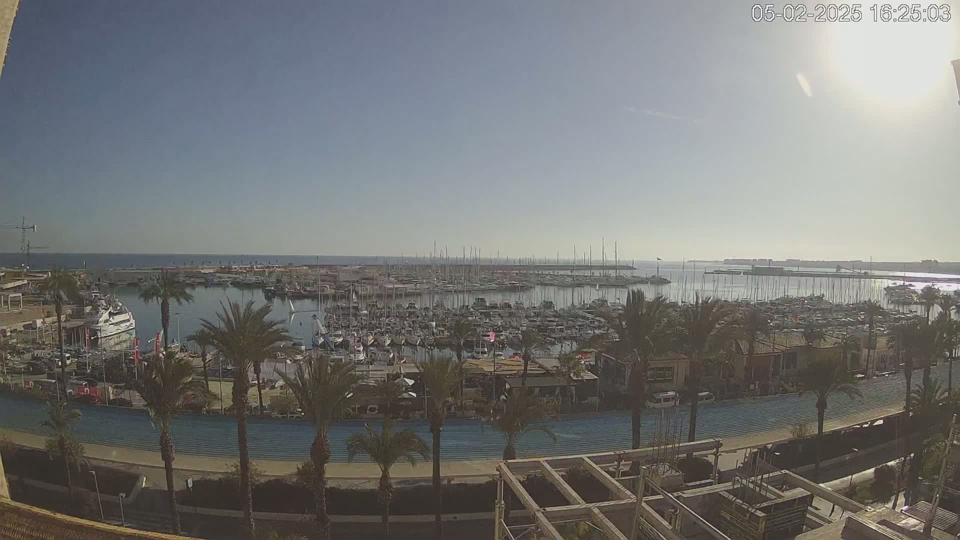 A sunny day reveals a crowded marina filled with numerous boats and yachts, surrounded by palm trees and a paved waterfront path.