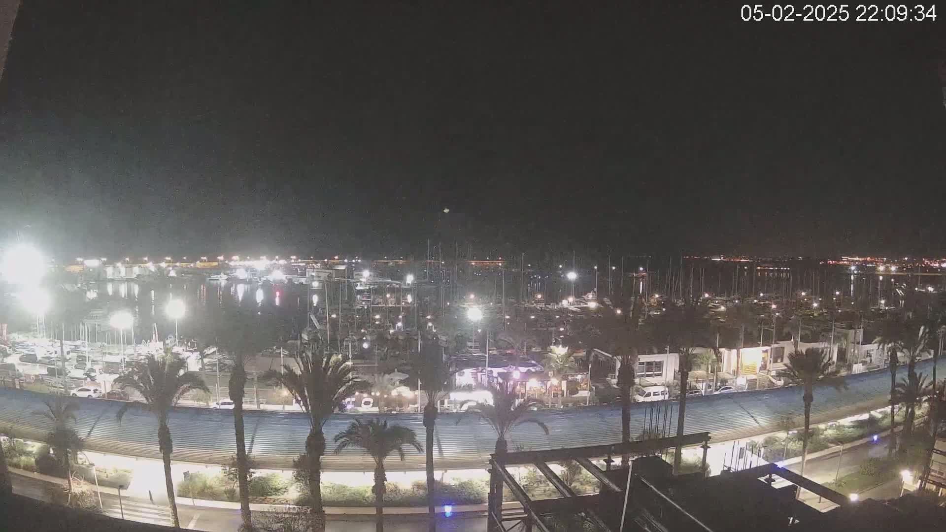 A nighttime, aerial view of a marina filled with boats, lined with palm trees and buildings, under a clear dark sky.