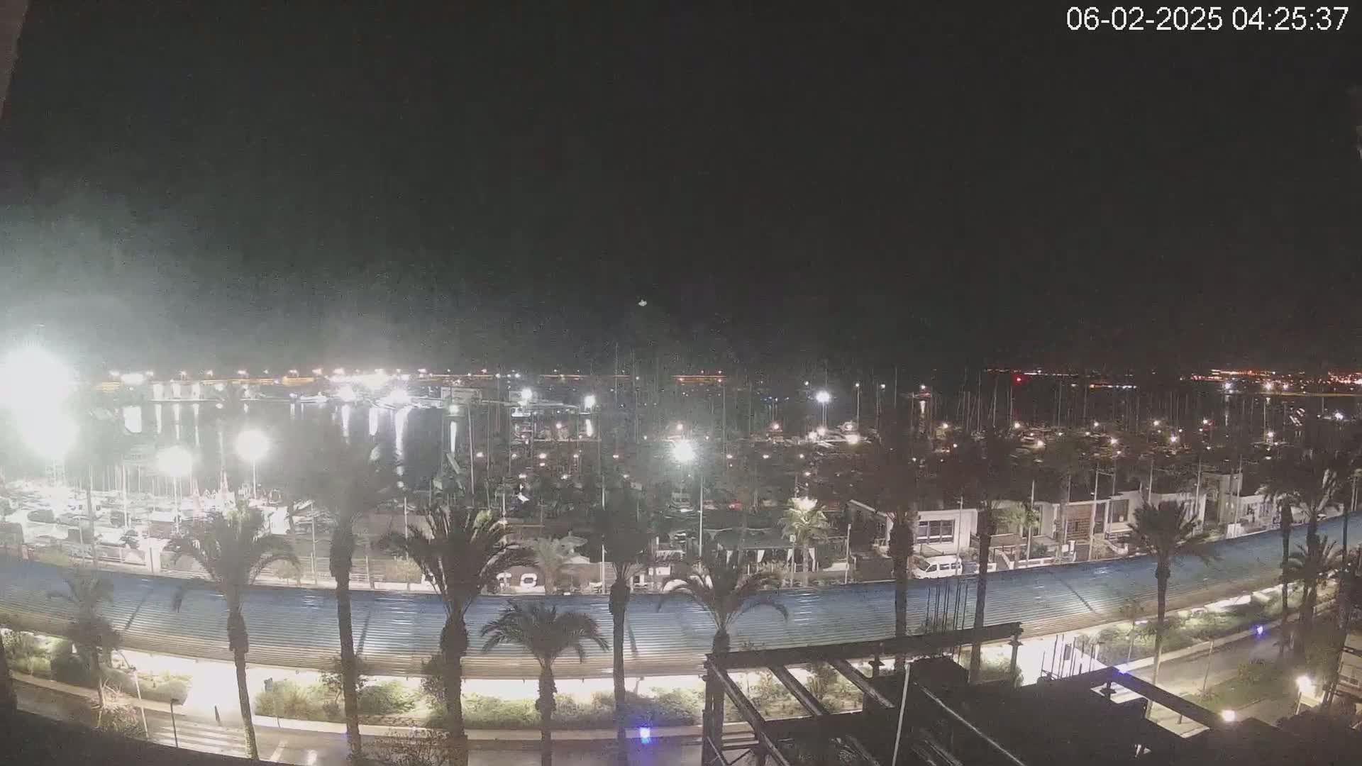 A nighttime view of a marina filled with boats, lined with palm trees and a curved roadway under a clear, dark sky.