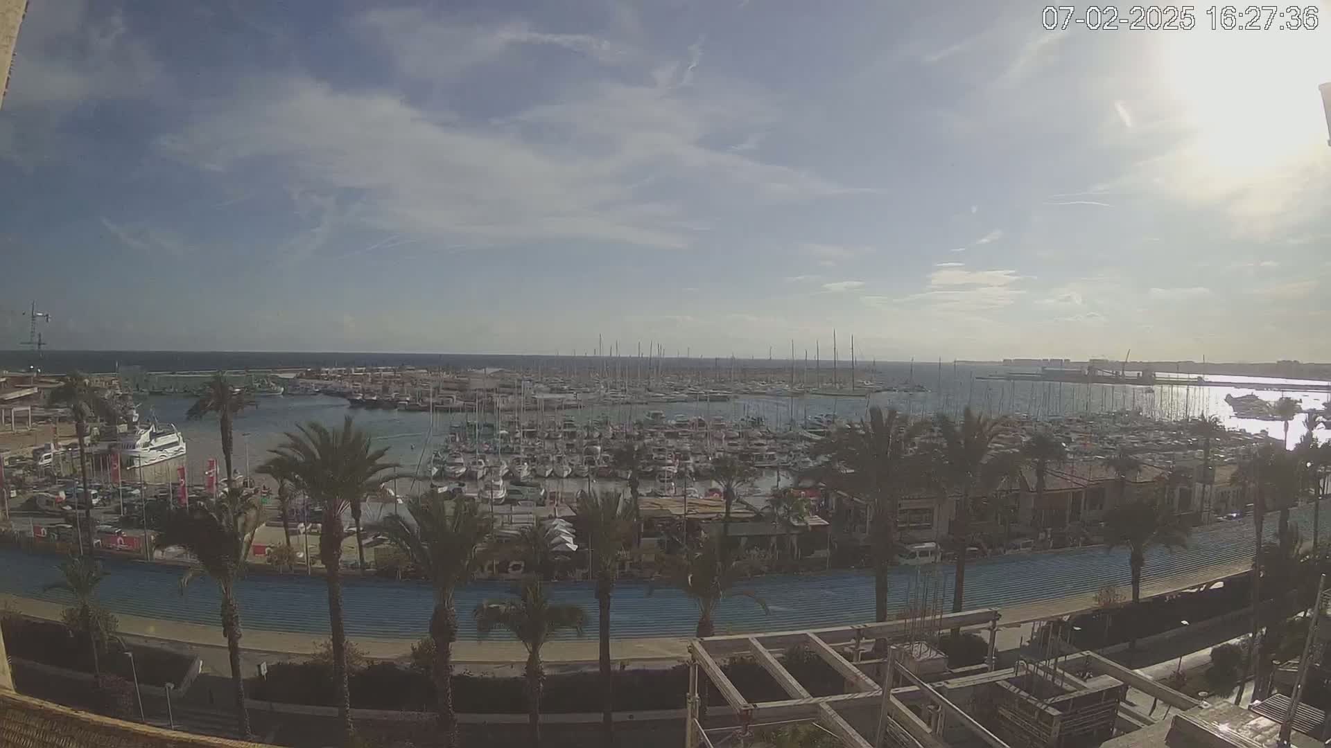 A sunny day reveals a harbor filled with numerous boats and yachts, surrounded by palm trees and a paved walkway.